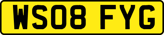 WS08FYG