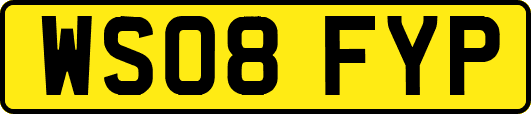 WS08FYP