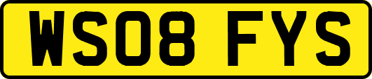 WS08FYS