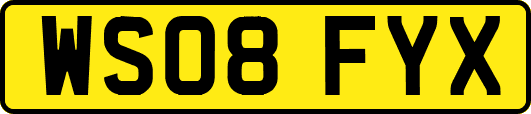 WS08FYX