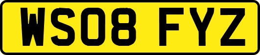WS08FYZ