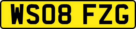 WS08FZG