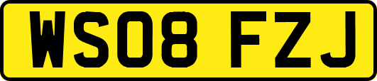 WS08FZJ