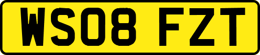 WS08FZT