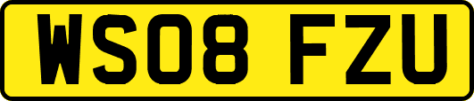 WS08FZU