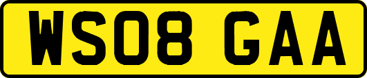 WS08GAA