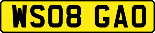 WS08GAO