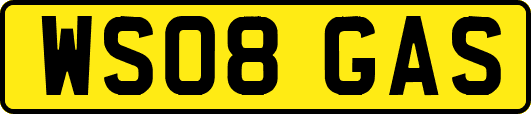WS08GAS