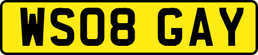 WS08GAY