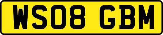 WS08GBM