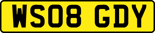 WS08GDY