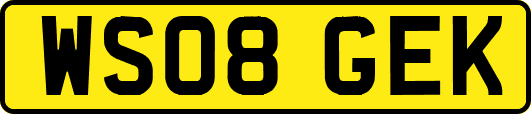WS08GEK
