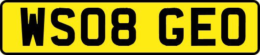 WS08GEO
