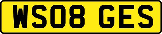 WS08GES