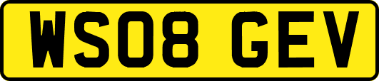 WS08GEV