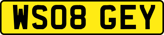 WS08GEY