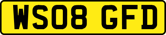 WS08GFD