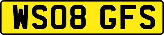 WS08GFS
