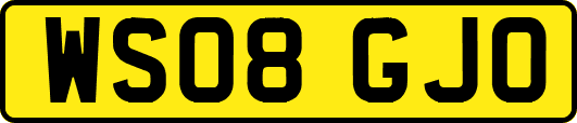 WS08GJO