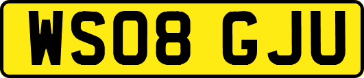 WS08GJU
