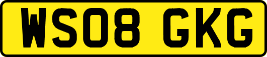 WS08GKG