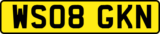 WS08GKN