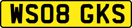 WS08GKS
