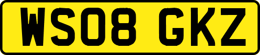 WS08GKZ