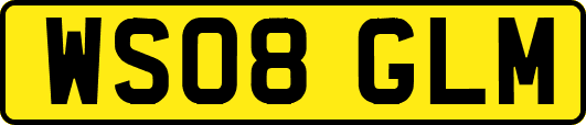 WS08GLM