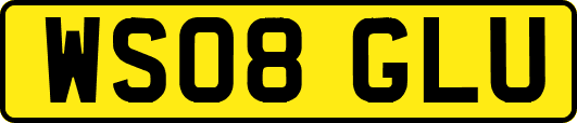 WS08GLU