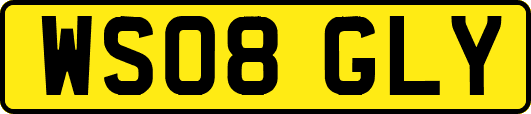 WS08GLY
