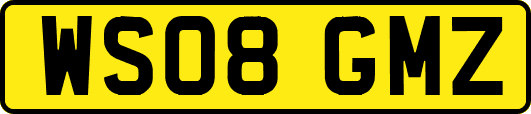 WS08GMZ