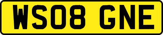 WS08GNE