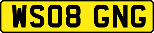 WS08GNG