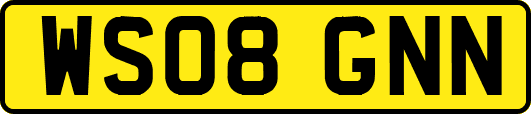 WS08GNN