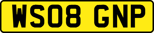 WS08GNP