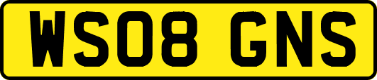WS08GNS