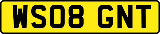 WS08GNT