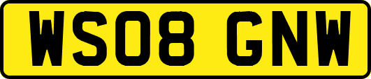 WS08GNW