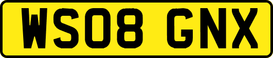WS08GNX