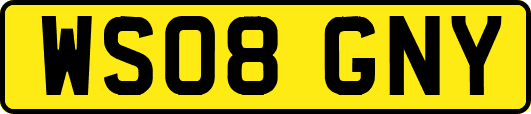 WS08GNY