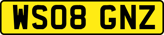 WS08GNZ