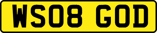 WS08GOD