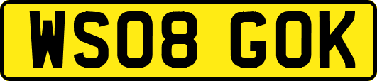 WS08GOK