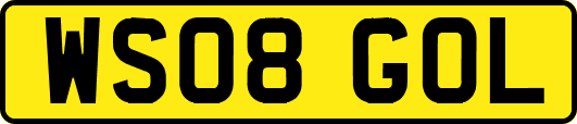WS08GOL