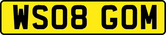 WS08GOM