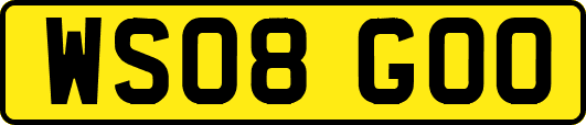 WS08GOO
