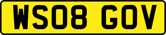 WS08GOV