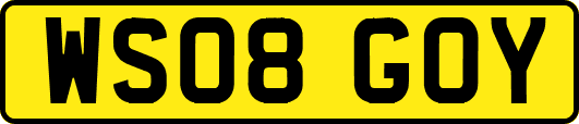 WS08GOY