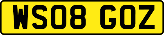 WS08GOZ